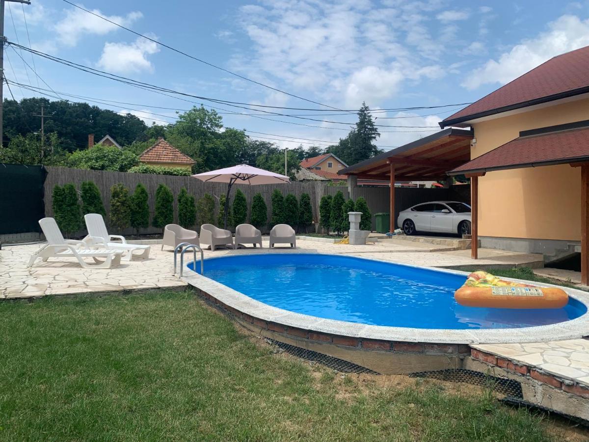 Mika'S Poolhouse Villa Beograd Bagian luar foto